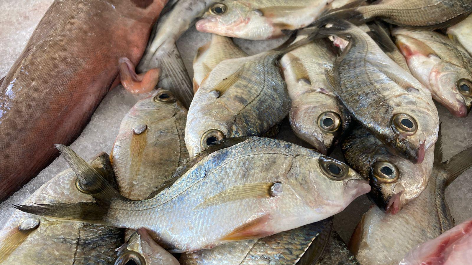 $!Comerciantes del embarcadero de Isla de la Piedra reportan aumento del 50% en ventas durante el Carnaval