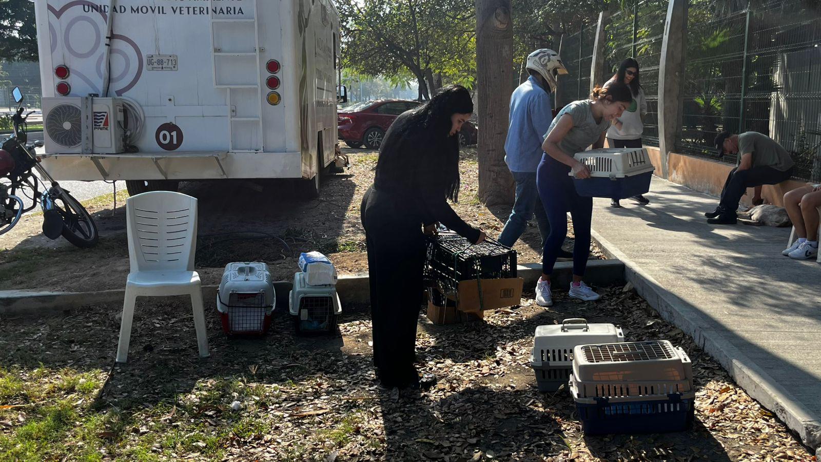 $!‘Huellitas del Bienestar’ promueve adopción de dos perritos y más de 20 esterilizaciones durante su jornada