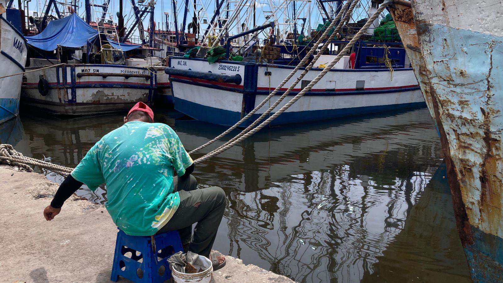 $!Camaroneros realizan pruebas de motor y refrigeración, a dos semanas de iniciar capturas