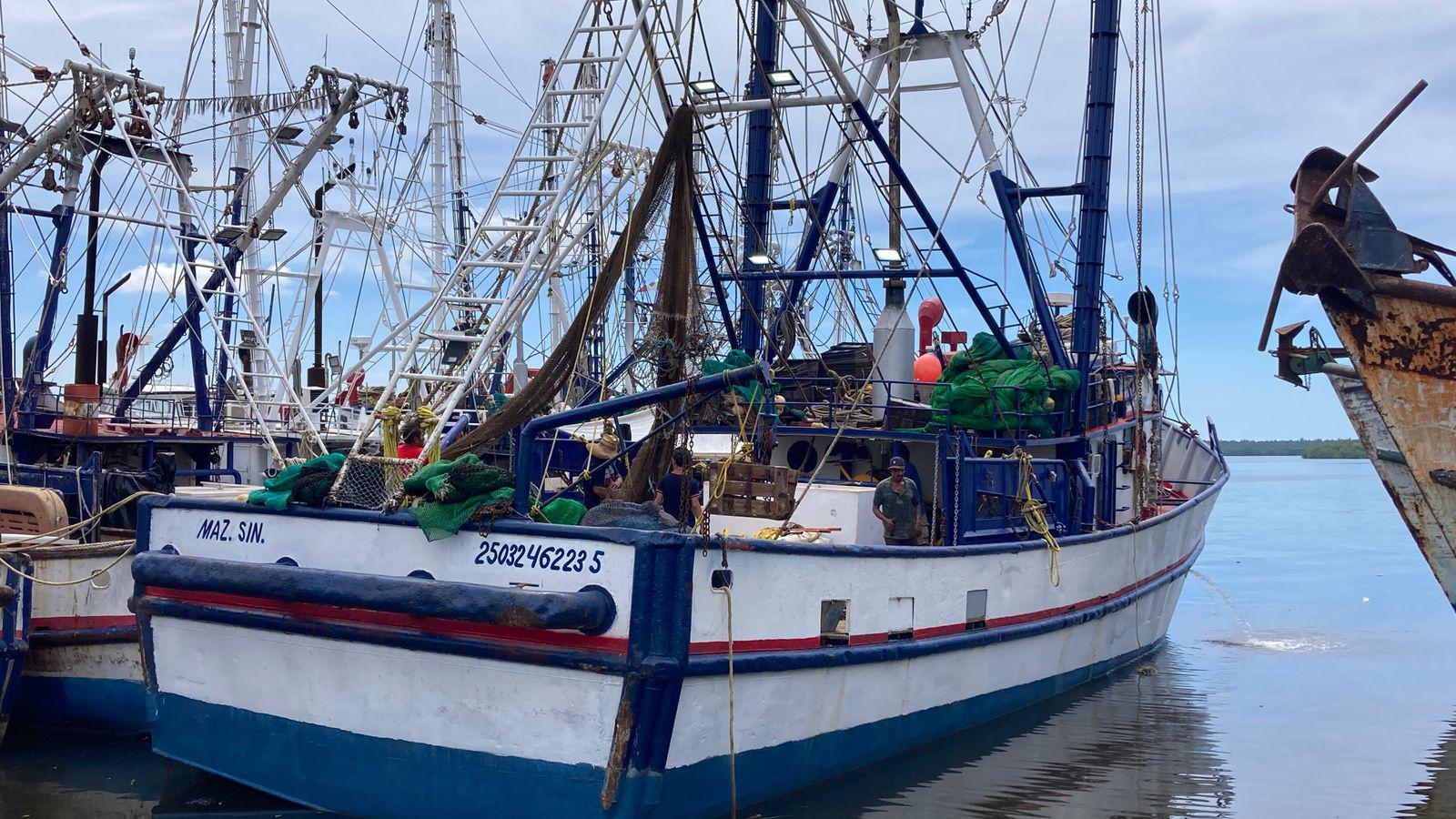 $!Camaroneros realizan pruebas de motor y refrigeración, a dos semanas de iniciar capturas