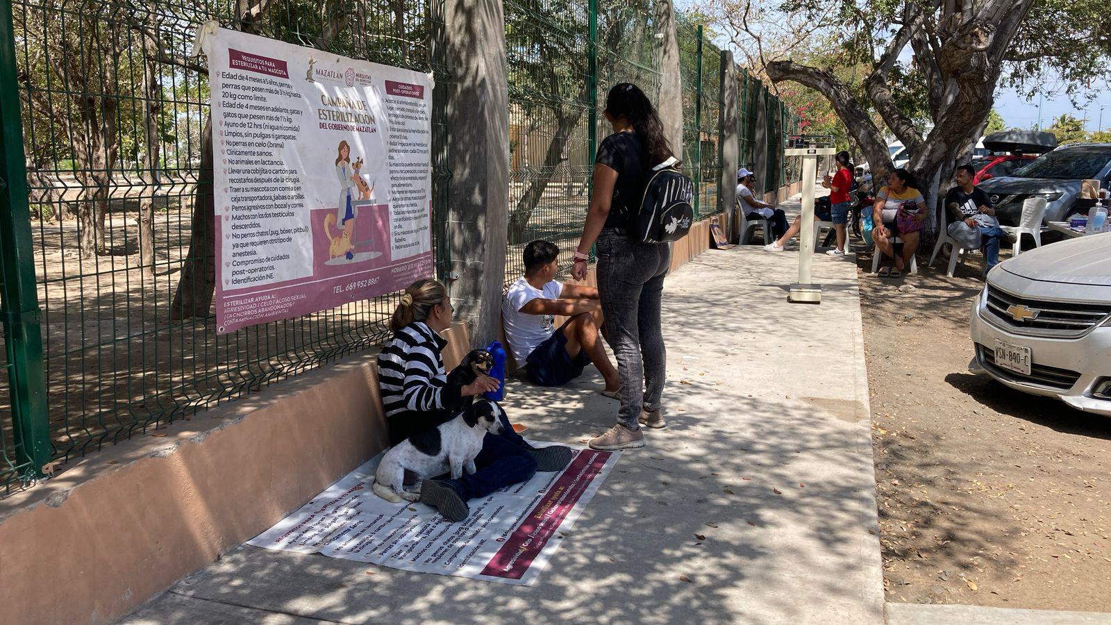 $!Fomentan adopción responsable de perros y gatos a través de ‘Huellitas del Bienestar’