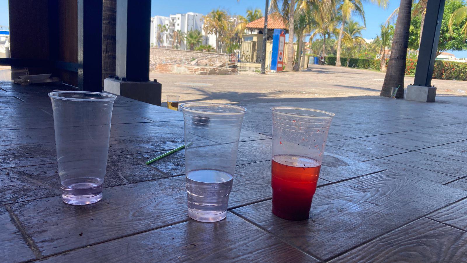 $!Marea plástica atenta contra el ecosistema marino: ambientalista