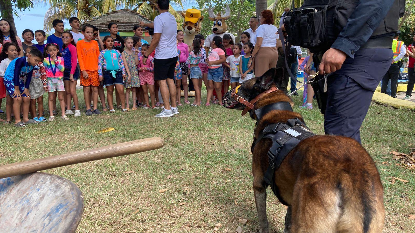 $!Elementos de la unidad K9 muestra su labor y convive con niñas y niños del Programa Vacacional 2025 del SNTSS