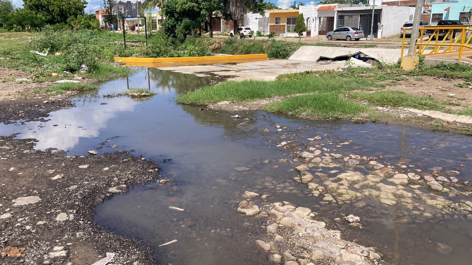 $!Afecta derrame de aguas negras a vecinos de Las Mañanitas y Arboledas, en Mazatlán
