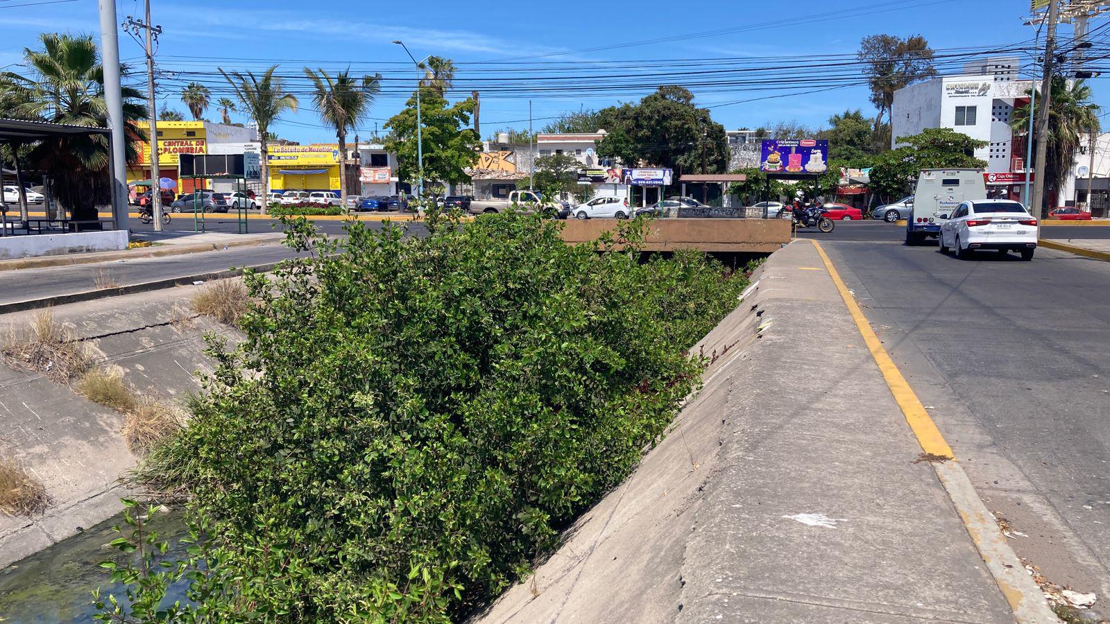 $!Basura y maleza persisten en arroyos de Mazatlán previo a la temporada de lluvias