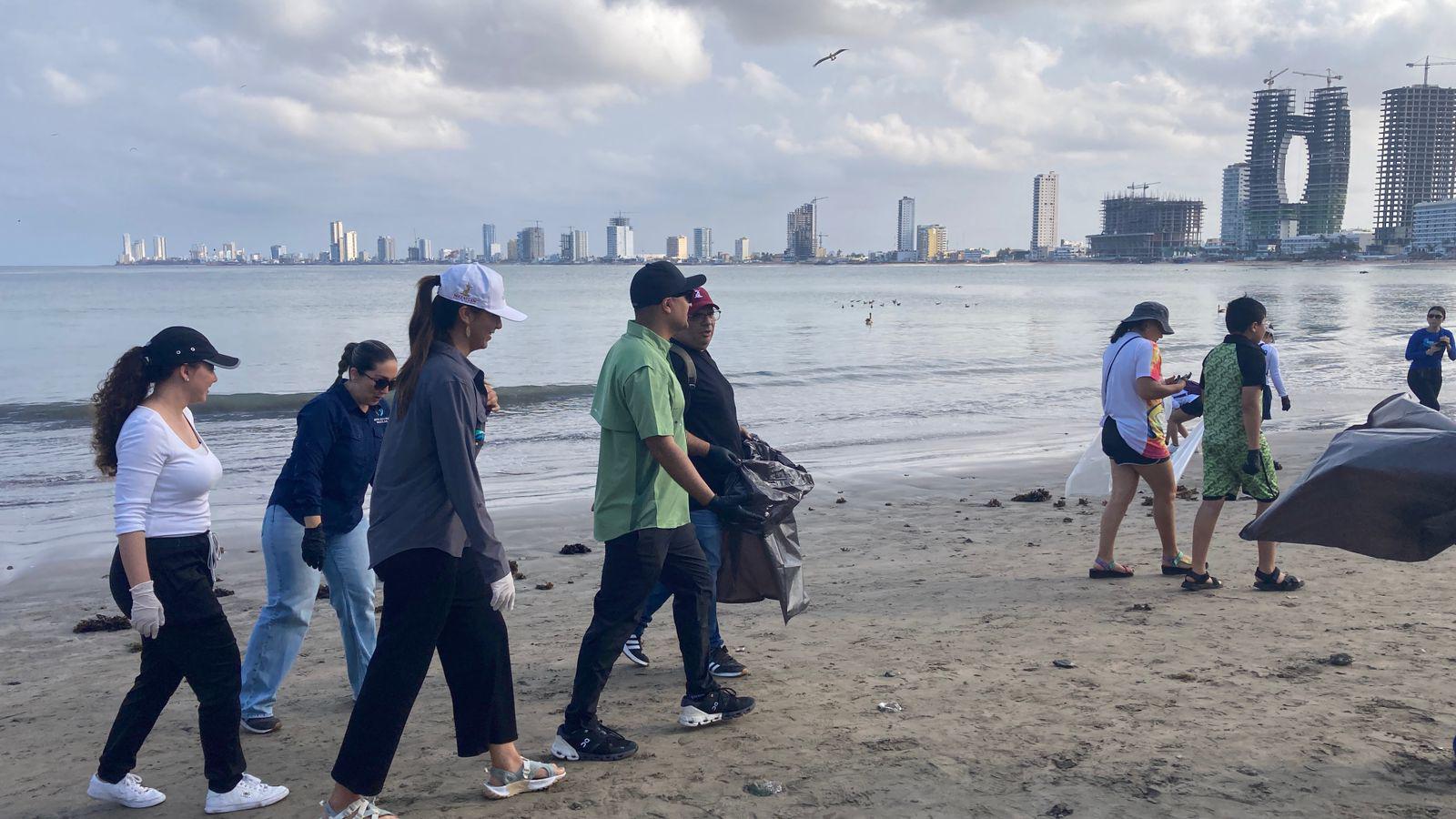 $!Brigada masiva limpia 16 kilómetros de playa, en Mazatlán