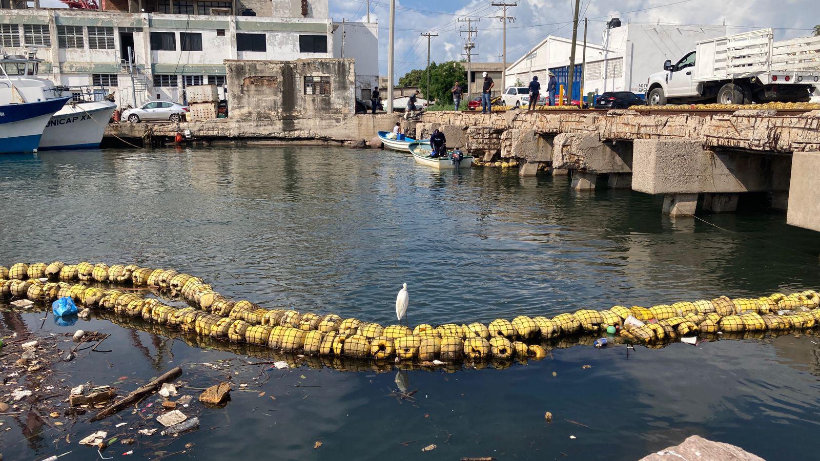 $!‘El plástico puede llevar a la extinción’, advierten ambientalistas tras reponer la Biobarda en el Infiernillo