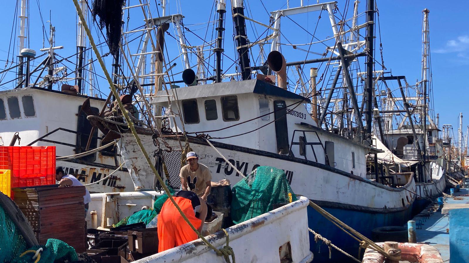 $!Camaroneros de Mazatlán zarpan por su último viaje de la temporada