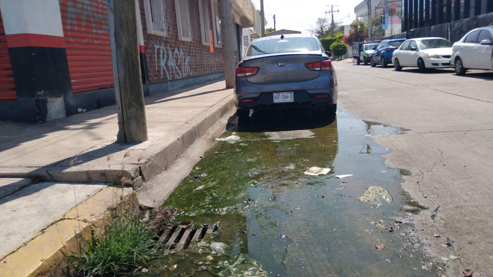 $!Pestilencia y contaminación deja una fuga de drenaje en la calle Río de la Plata de Campo Bello