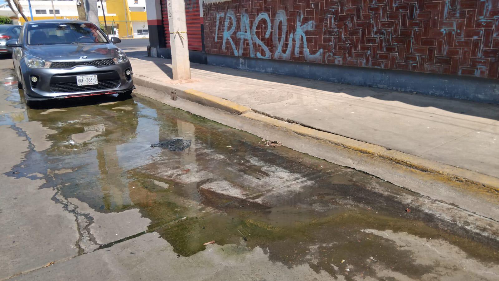 $!Pestilencia y contaminación deja una fuga de drenaje en la calle Río de la Plata de Campo Bello