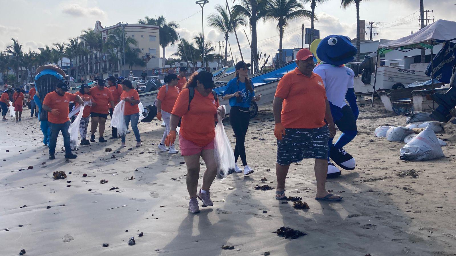 $!Brigada masiva limpia 16 kilómetros de playa, en Mazatlán
