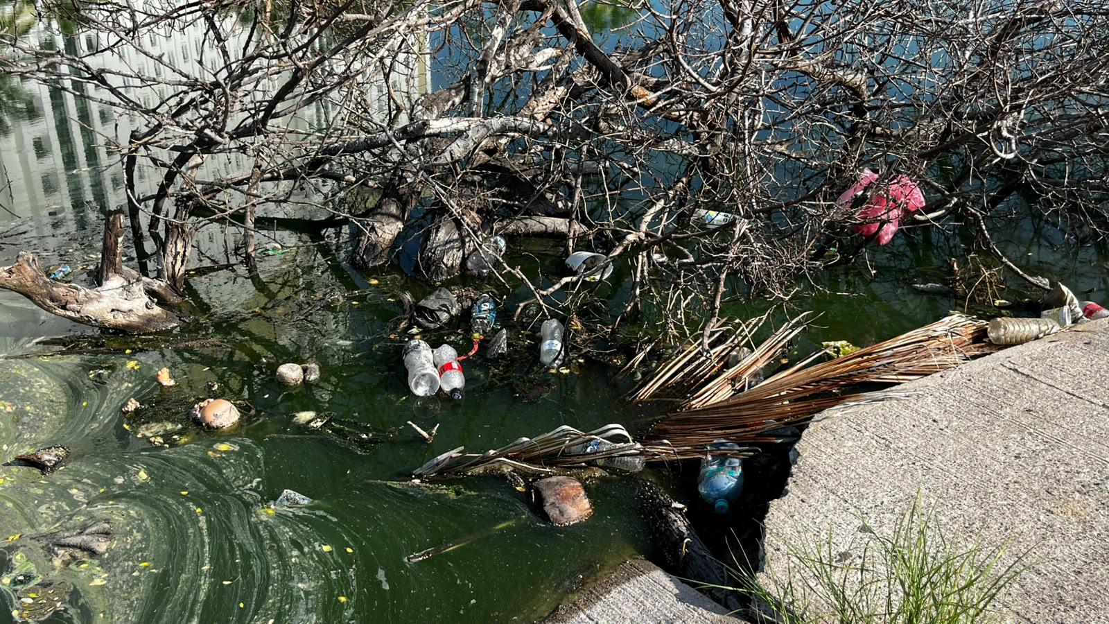 $!Continúa fuga de drenaje que contamina desde hace una semana el Estero del Yugo