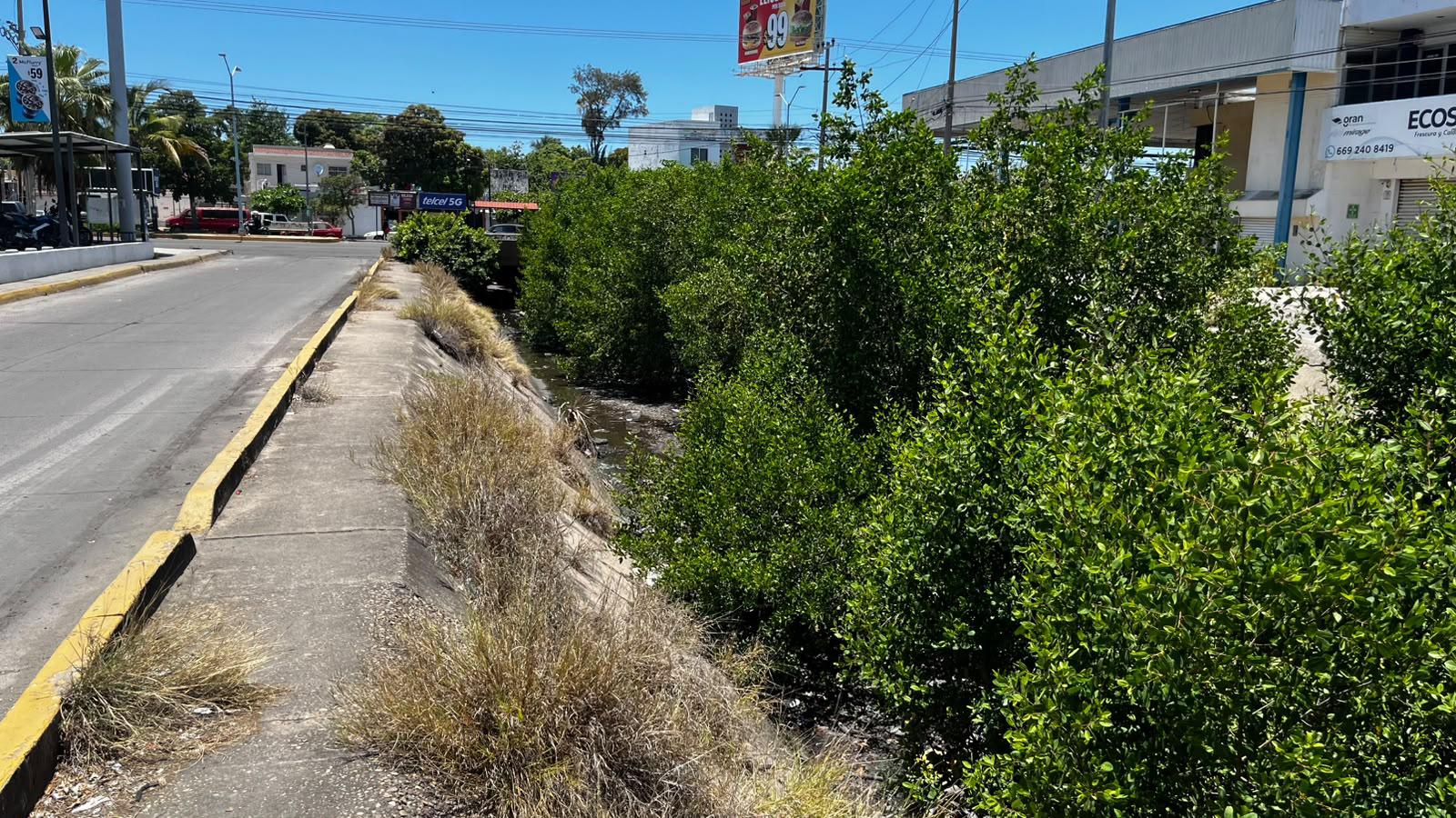 $!Persiste problema de basura y desechos en canales y arroyos de Mazatlán