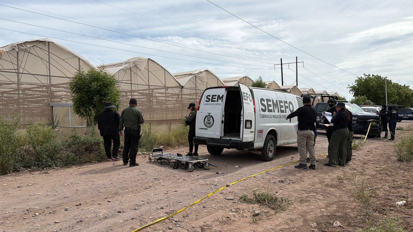 $!Encuentran a hombre sin vida y en estado de descomposición en el Campo Moroleón, en Culiacán