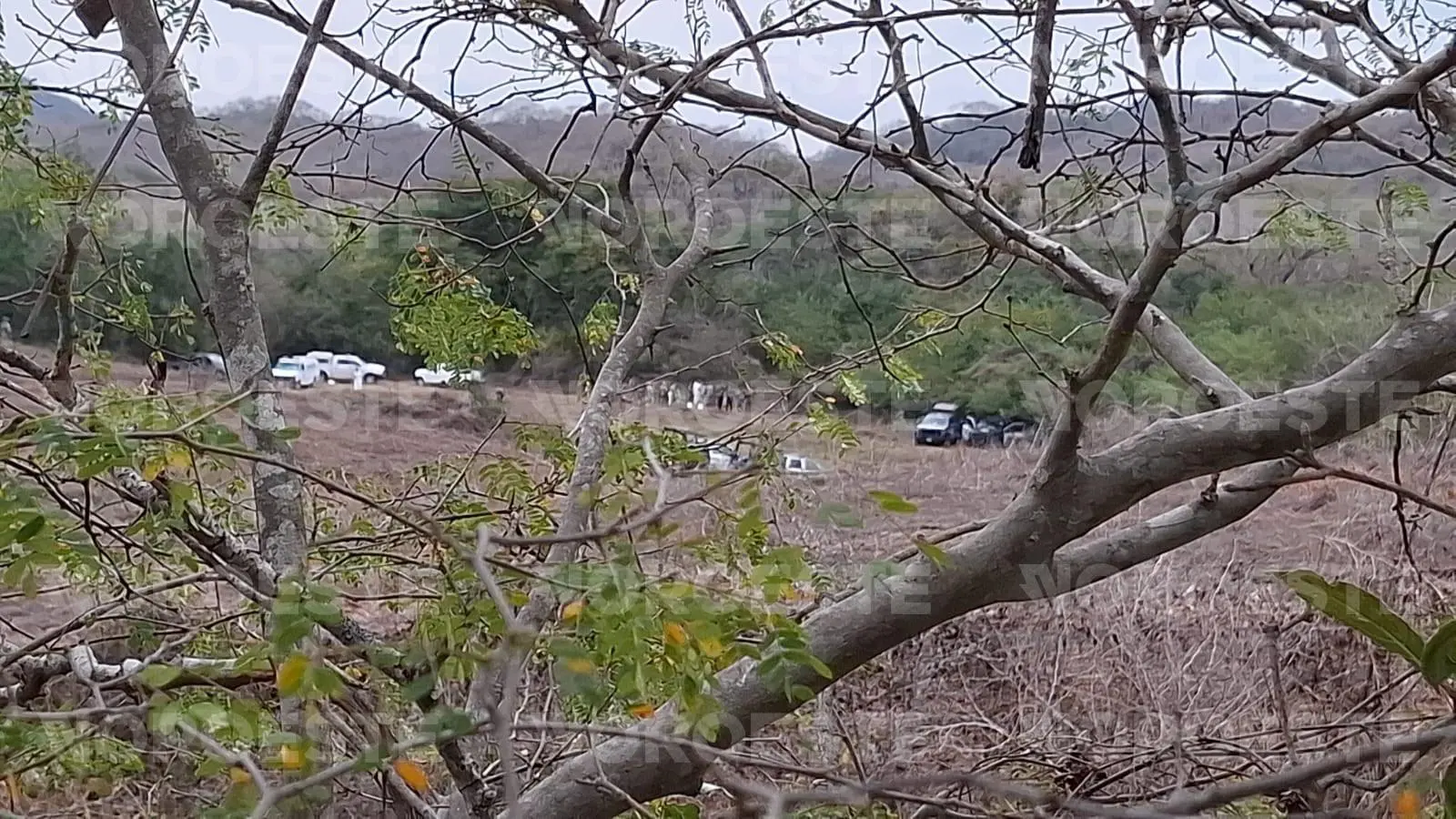 $!Encuentran una segunda fosa clandestina en inmediaciones de El Verde, Concordia