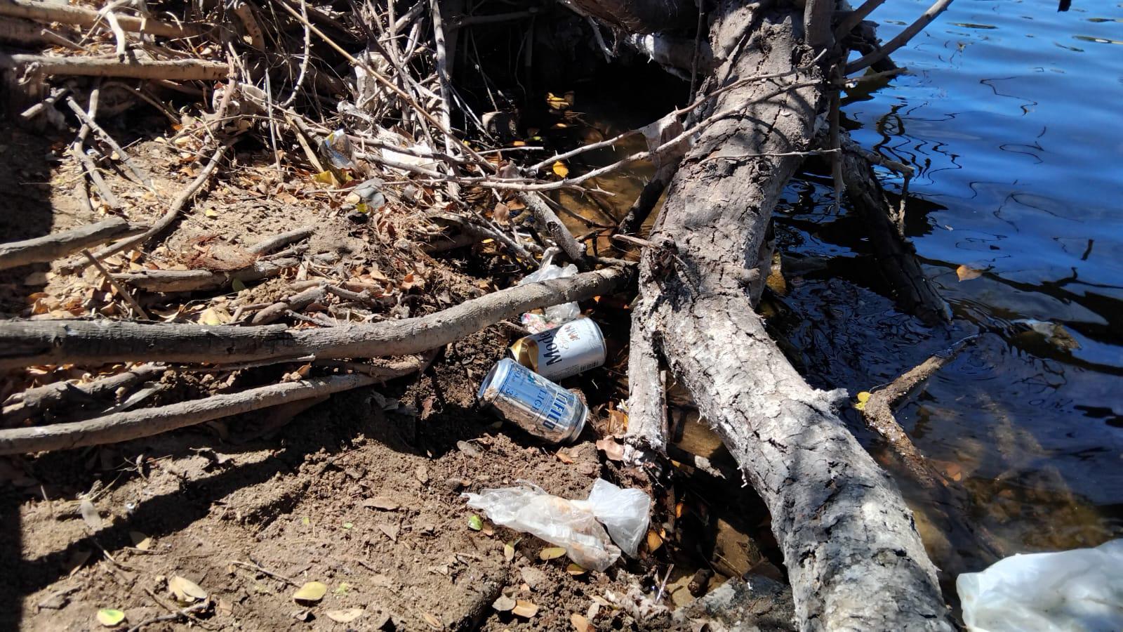 $!Basura invade el estero del Yugo y amenaza su ecosistema