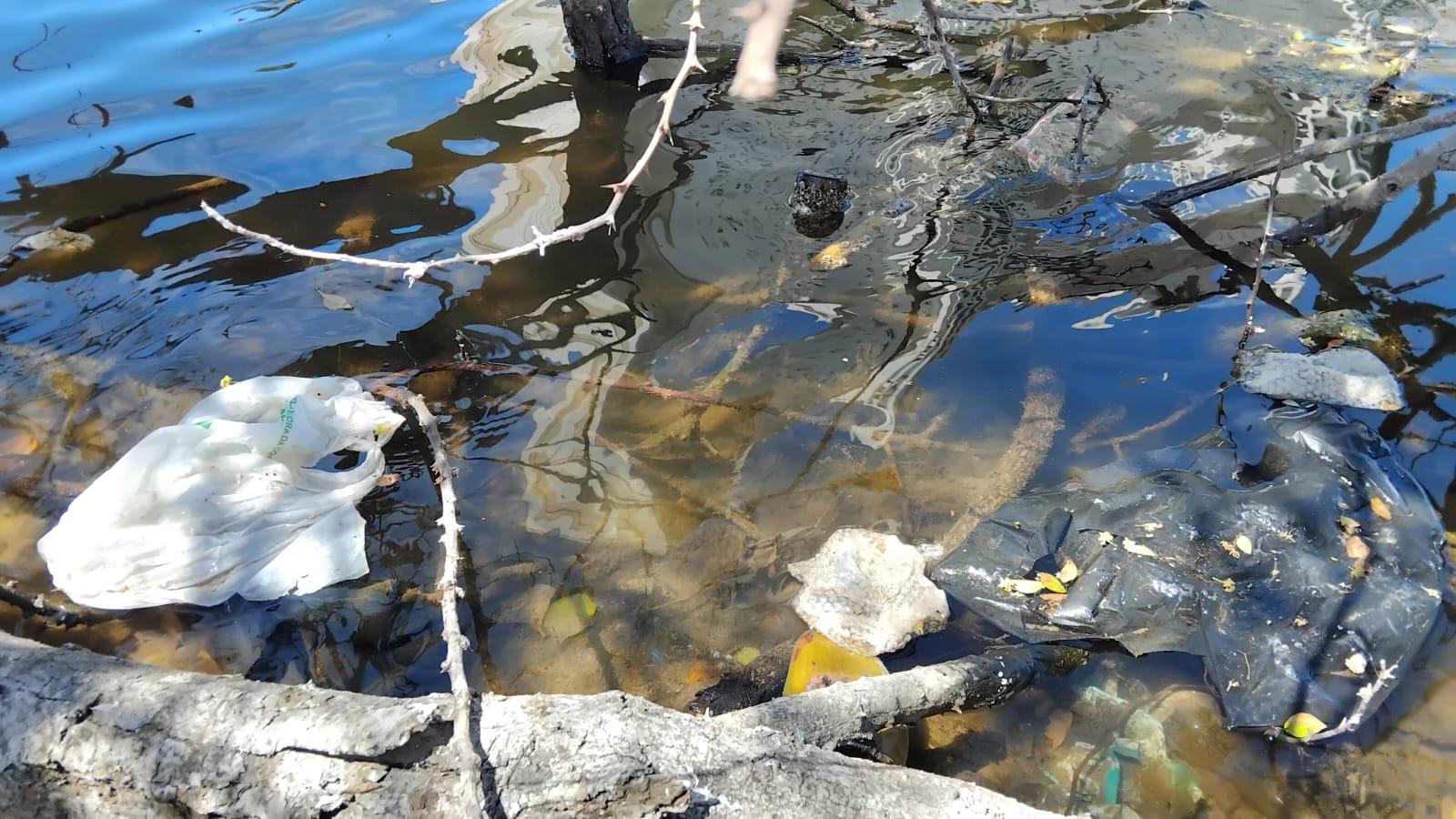 $!Basura invade el estero del Yugo y amenaza su ecosistema