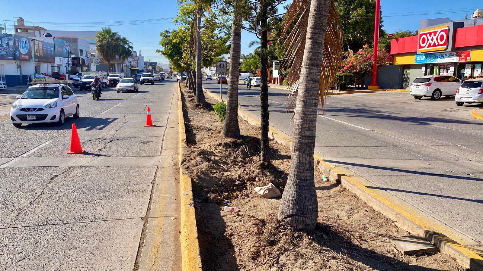 $!Dan ‘manita de gato’ al camellón de la Avenida La Marina