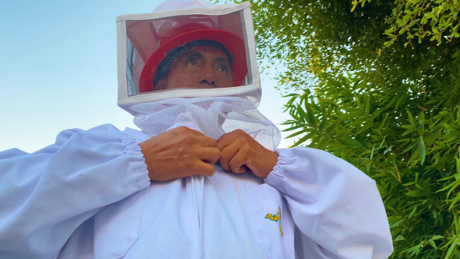 $!Es Mazatlán primero en Sinaloa en tener protocolo de rescate y protección de abejas y avispas