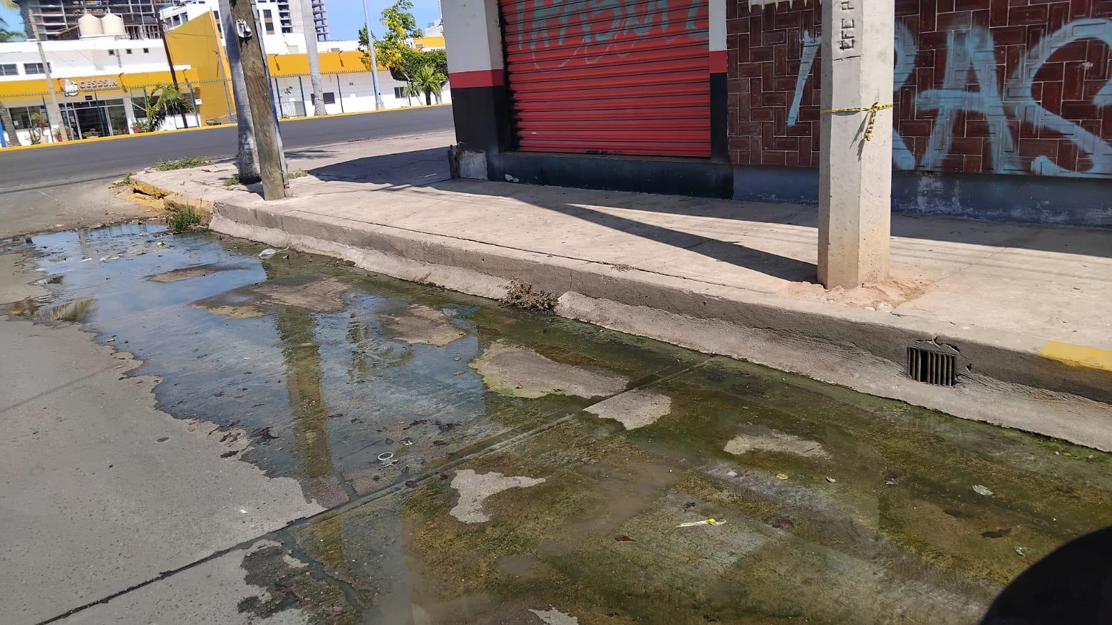 $!Pestilencia y contaminación deja una fuga de drenaje en la calle Río de la Plata de Campo Bello
