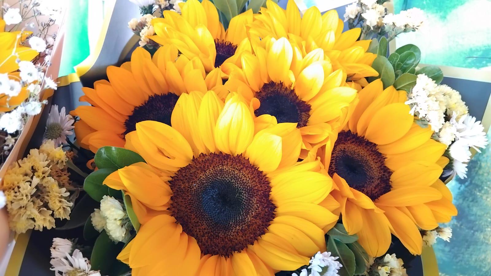 $!Se mantiene tradición de flores amarillas en Mazatlán pese a menos ventas