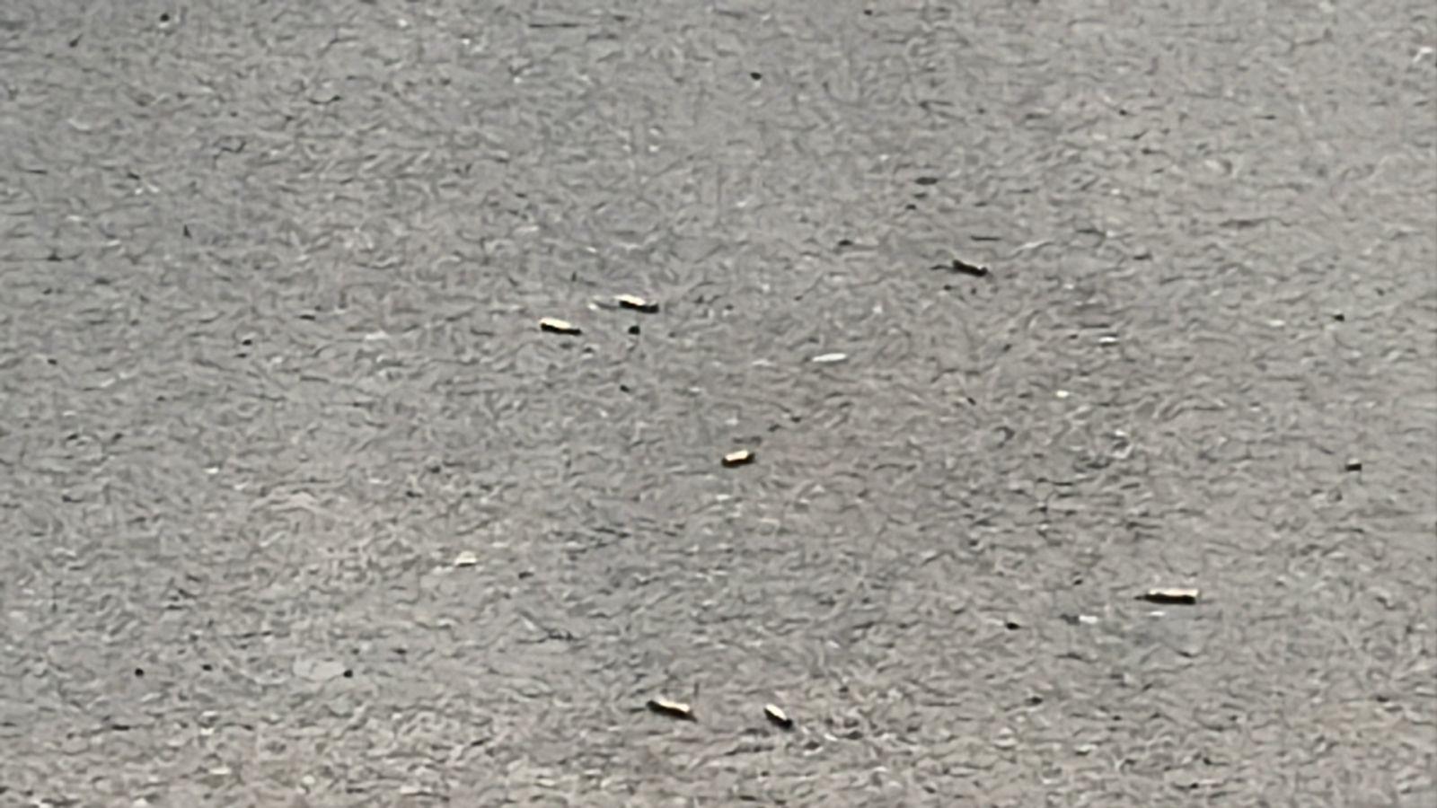 $!Vandalizan y atacan a balazos un domicilio de la colonia Santa Rocío, en Culiacán