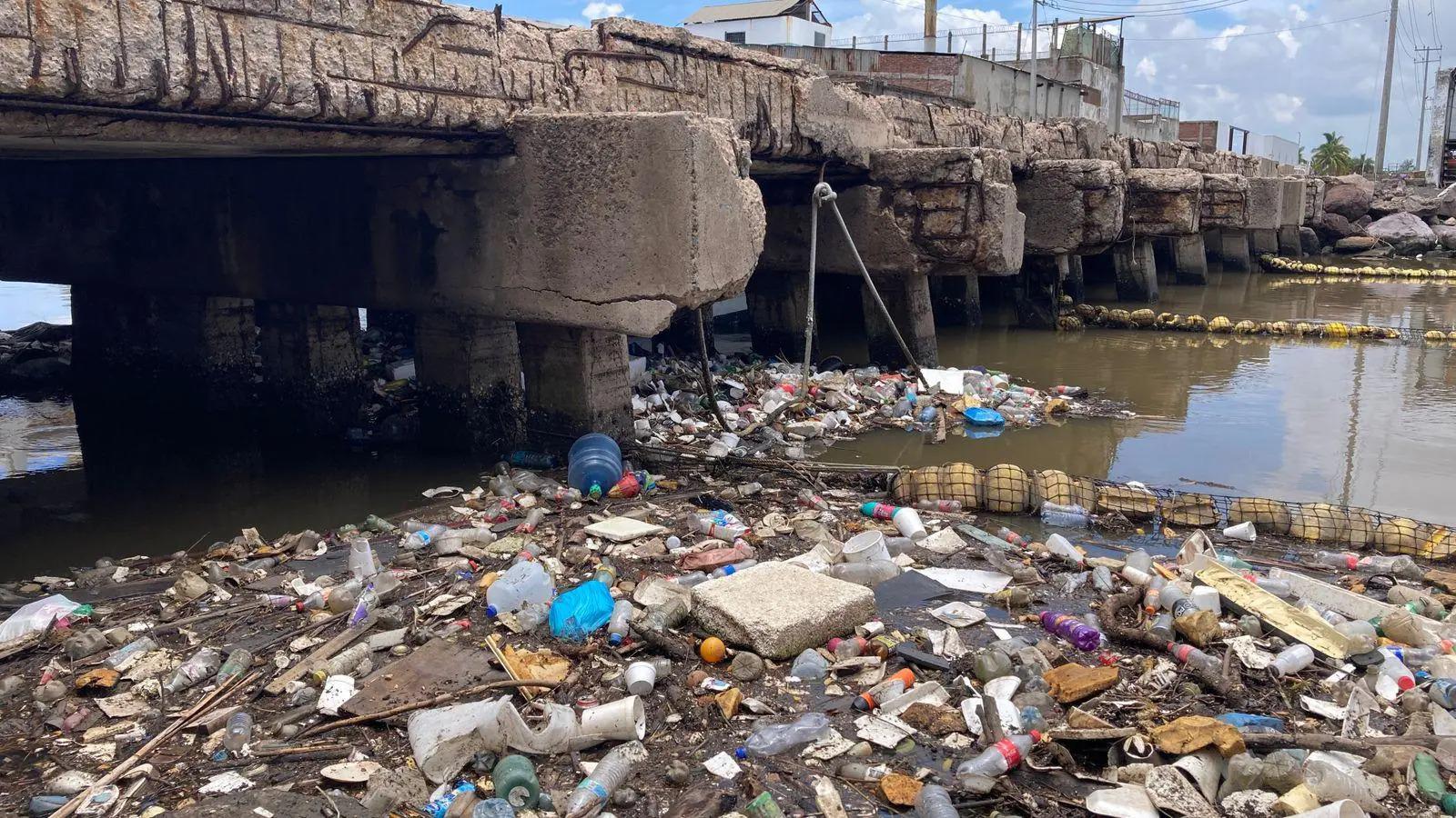$!Si perdemos la lucha ambiental, ninguna otra lucha tendrá sentido, alerta MazConciencia