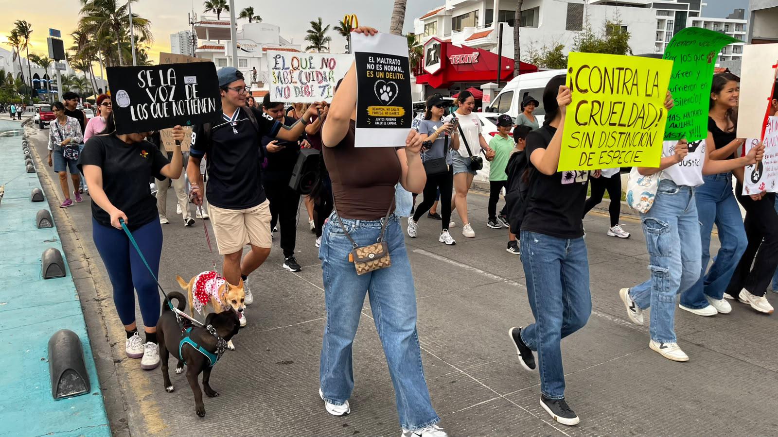 $!Realizan marcha en contra del maltrato animal en la Avenida del Mar, en Mazatlán