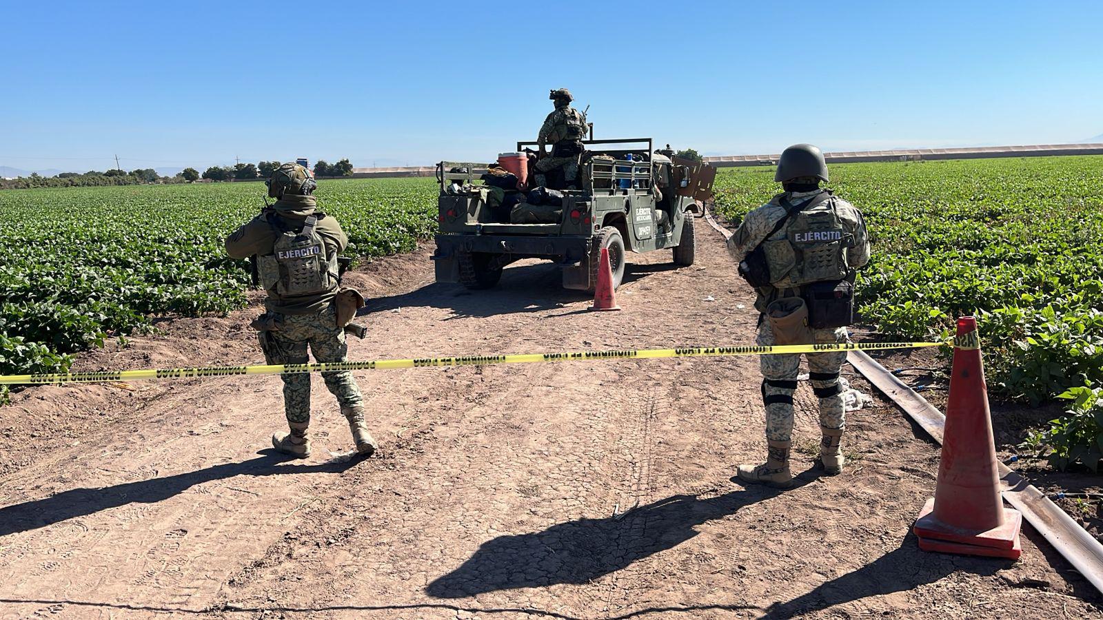 $!Asesinan a jornalero en un campo de frijol, entre los límites de Culiacán y Navolato