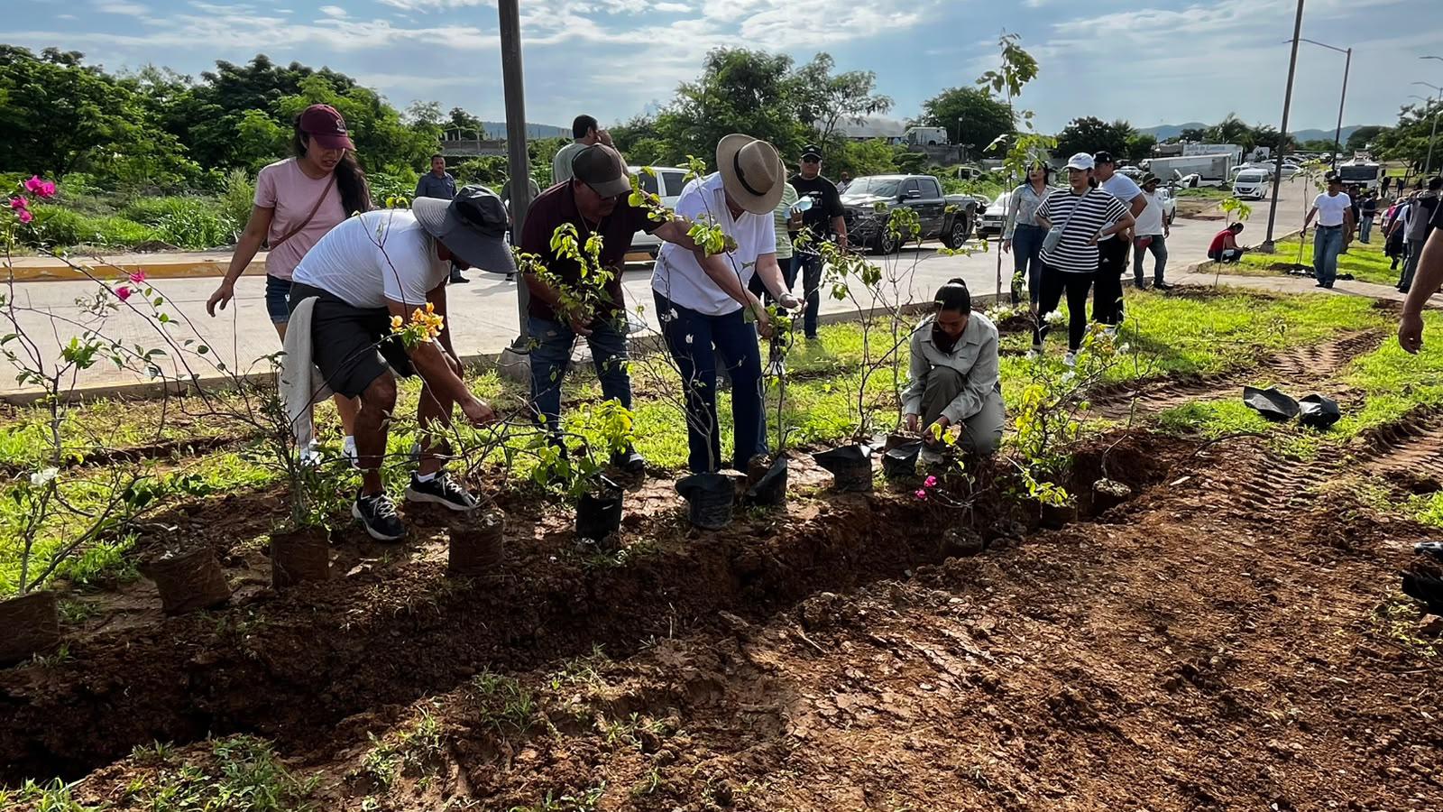 $!Plantan 60 árboles y 60 bugambilias en Jornada Nacional de Reforestación en Mazatlán