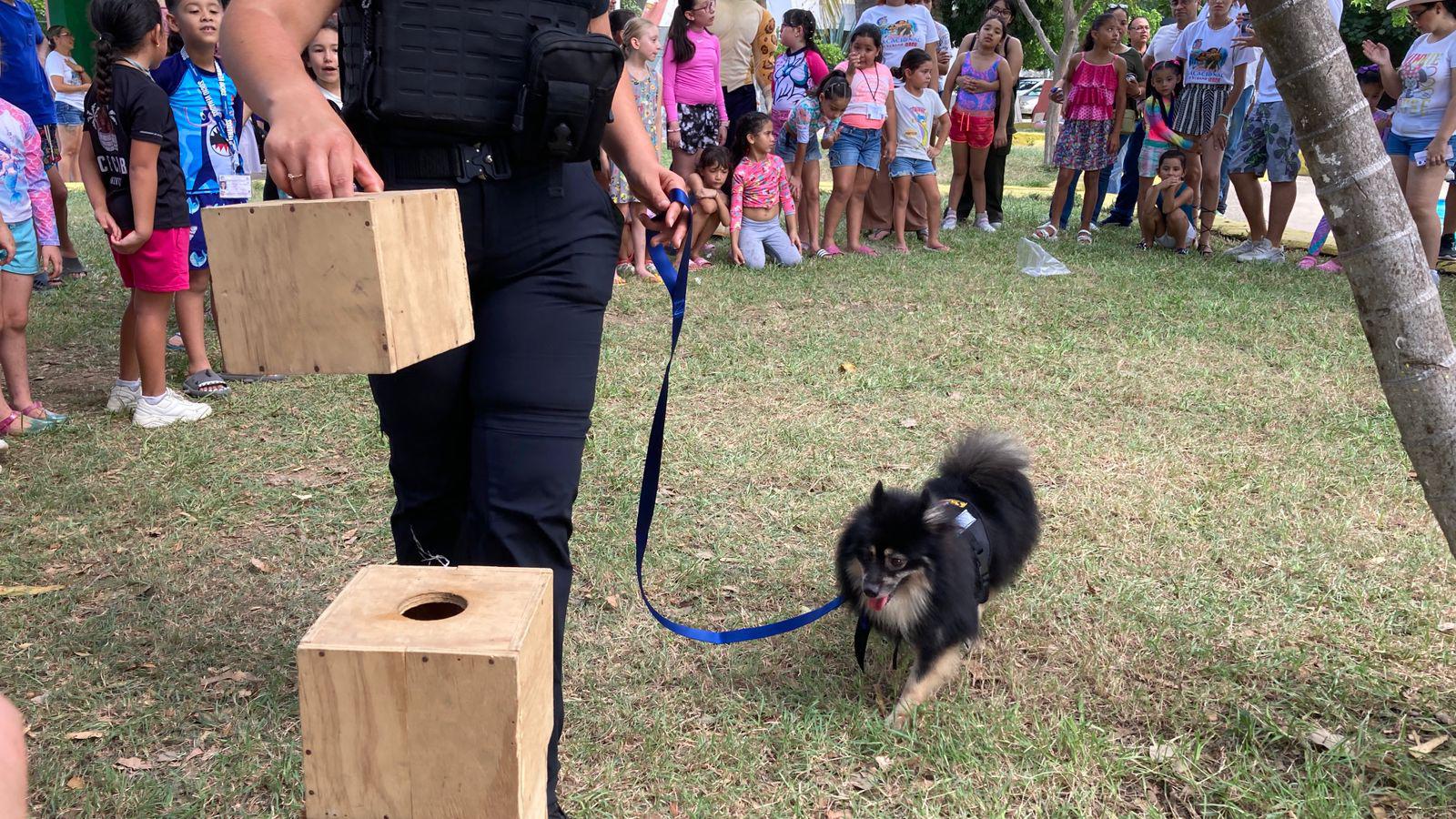 $!Elementos de la unidad K9 muestra su labor y convive con niñas y niños del Programa Vacacional 2025 del SNTSS