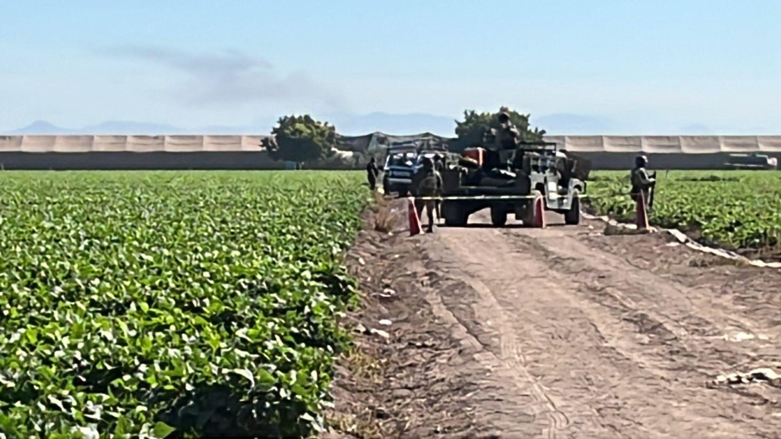 $!Asesinan a jornalero en un campo de frijol, entre los límites de Culiacán y Navolato