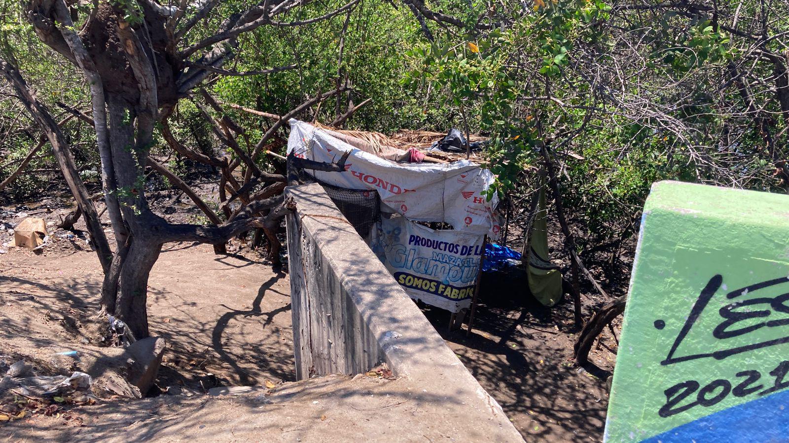 $!Denuncian omisión de autoridades ante tala de mangle en Estero del Infiernillo