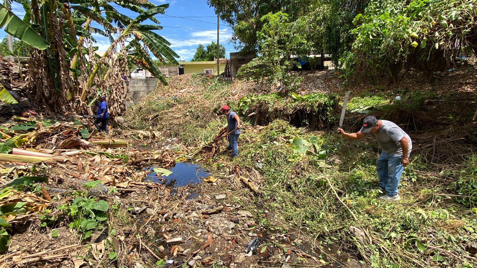 $!Realizan en Rosario limpieza y desazolve de canales tras inicio de lluvias