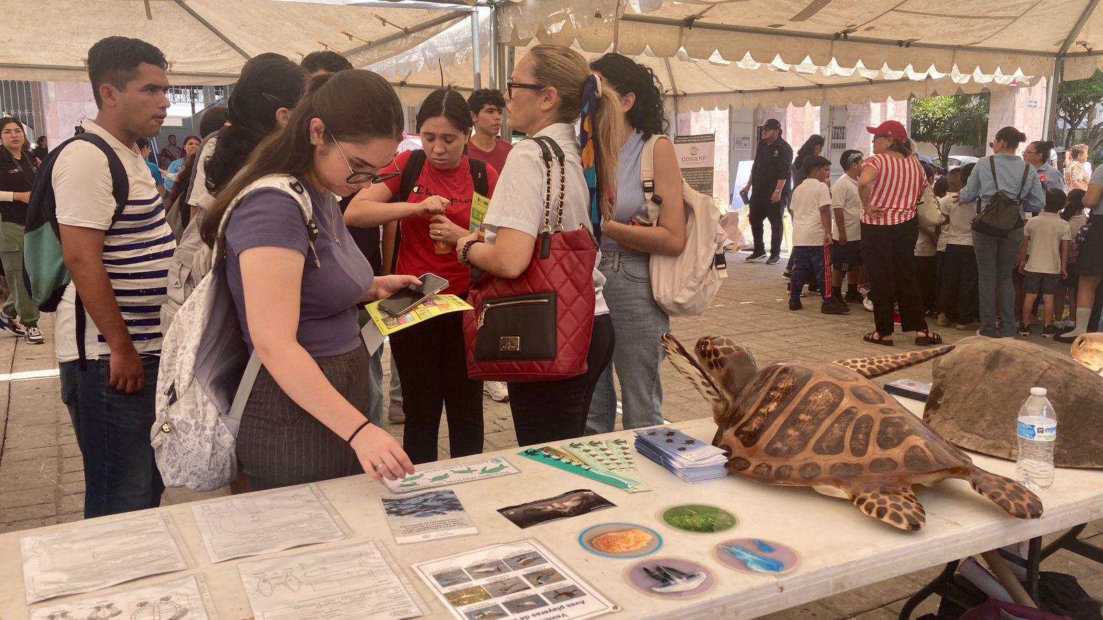 $!Expo Ambiental en Mazatlán destaca esfuerzos de limpieza pese a falta de información oficial