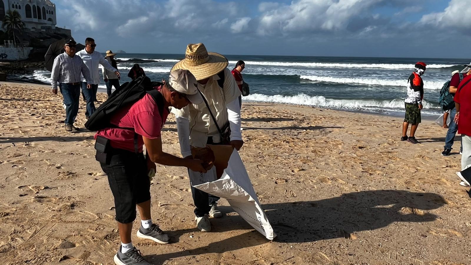 $!Día Mundial del Medio Ambiente: Mazatlán refuerza limpieza y conservación de playas