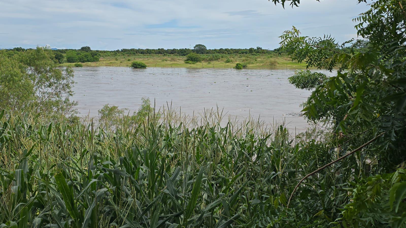 $!Protección Civil Rosario descarta que las lluvias representen un peligro ante el desfogue de la Presa Santa María