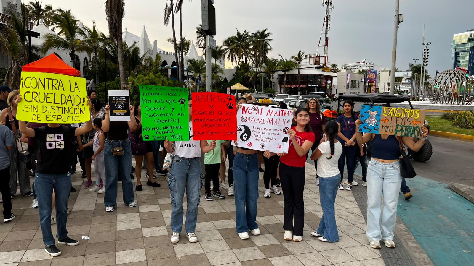 $!Realizan marcha en contra del maltrato animal en la Avenida del Mar, en Mazatlán
