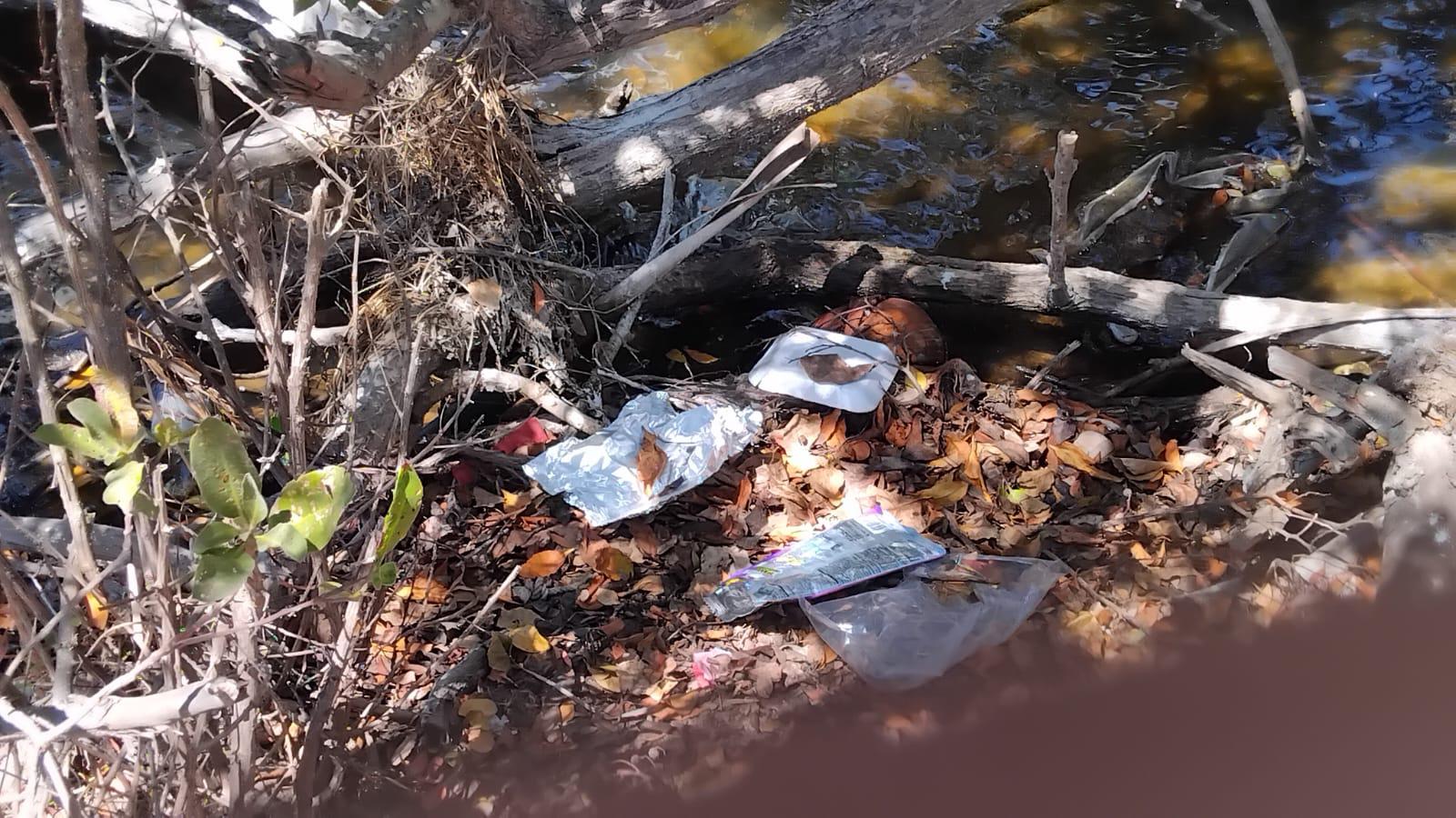 $!Basura invade el estero del Yugo y amenaza su ecosistema