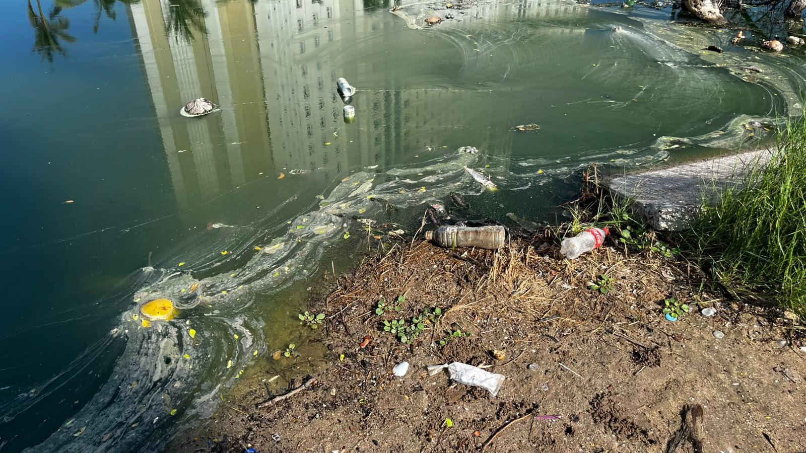 $!Continúa fuga de drenaje que contamina desde hace una semana el Estero del Yugo