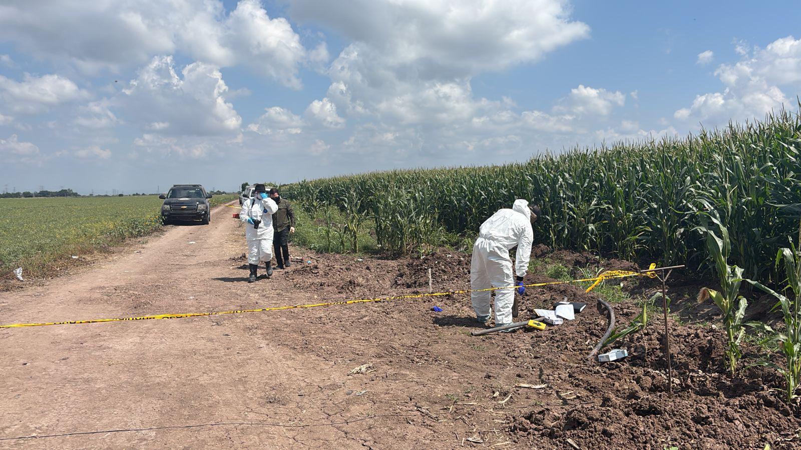 $!Hallan restos humanos en zona de cultivo de Villa Juárez, Navolato