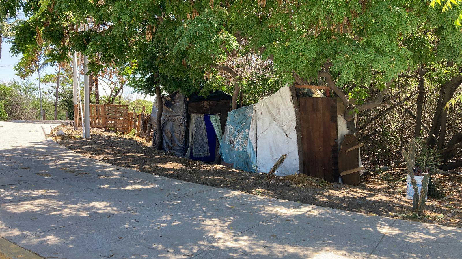 $!Denuncian omisión de autoridades ante tala de mangle en Estero del Infiernillo