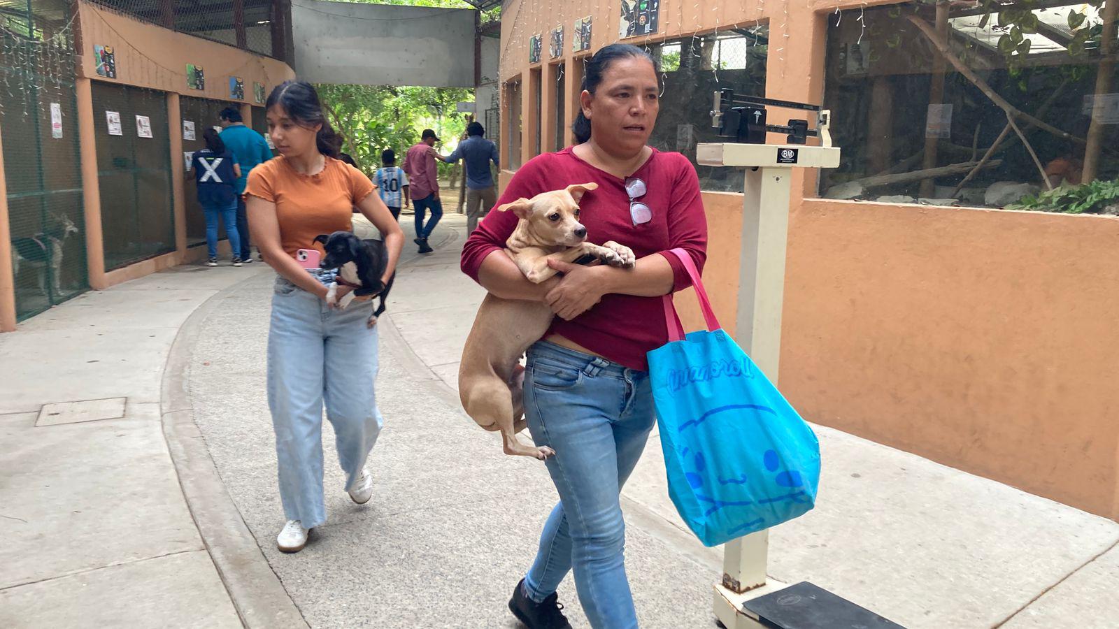 $!En conmemoración del ‘Día del Perro’, celebran campaña de adopción, esterilización y Café Científico en Mazatlán