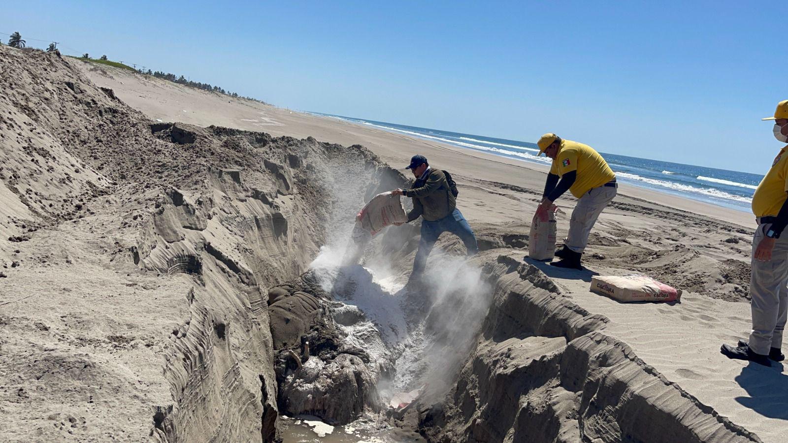 $!Aparece una ballena muerta en la playa El Caimanero, en Rosario