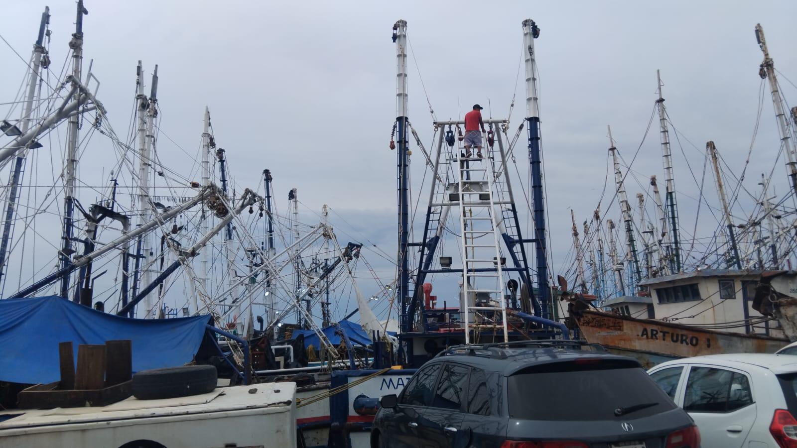 $!Pescadores denuncian saqueo de camarón de altamar por ribereños y aún no definen inicio de la zafra