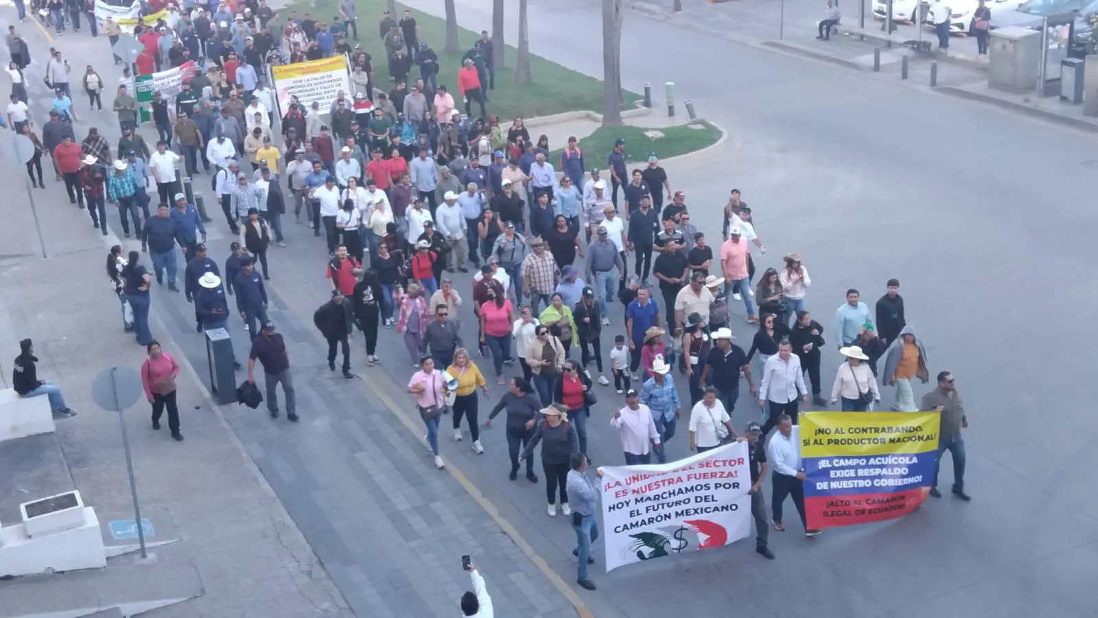 $!Marchan acuacultores en Mazatlán contra las importaciones de camarón