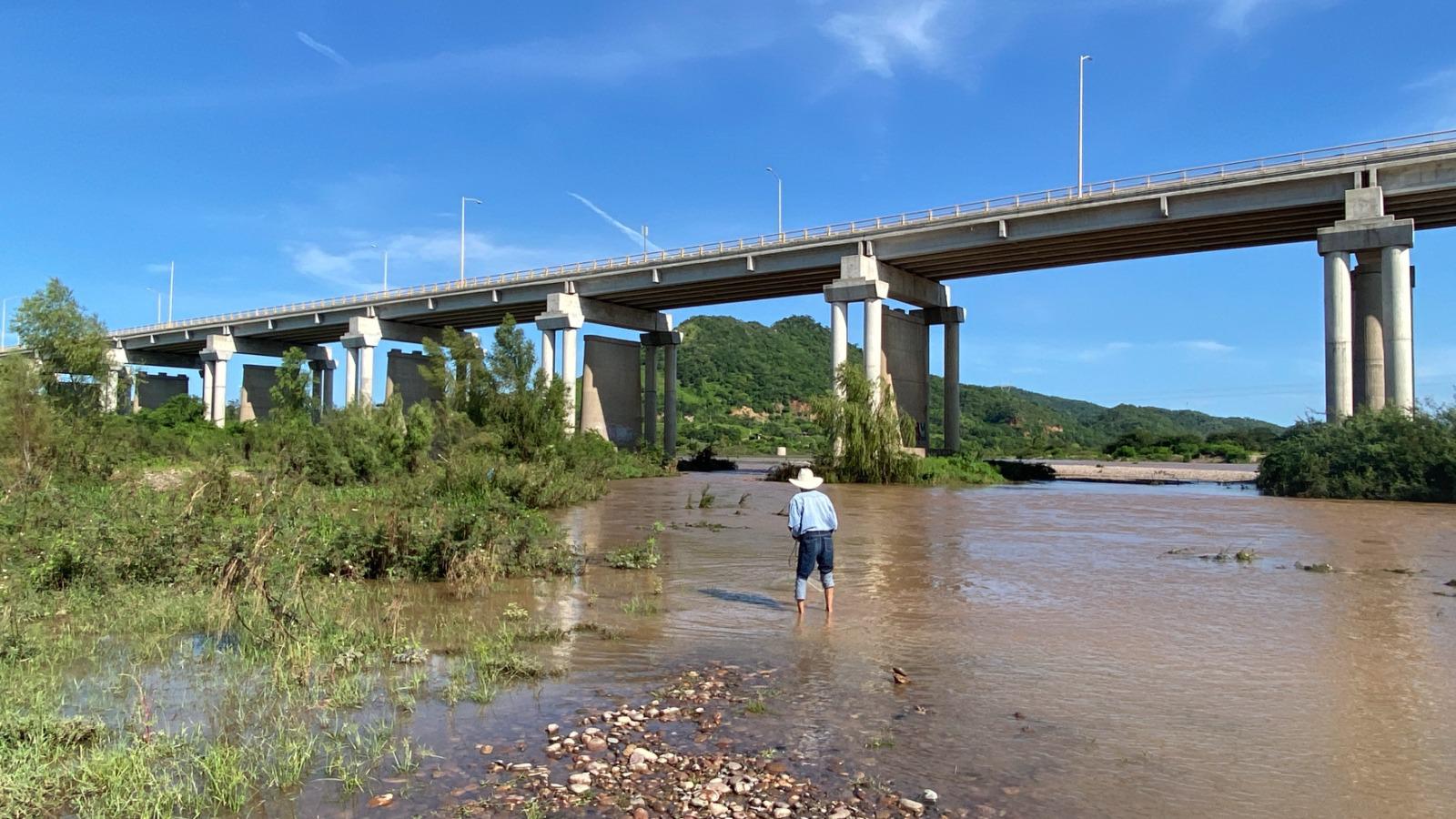 $!Hermilo busca con su atarraya capturar las bondades del río Baluarte en Rosario