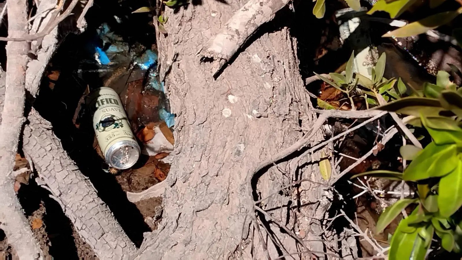 $!Basura invade el estero del Yugo y amenaza su ecosistema