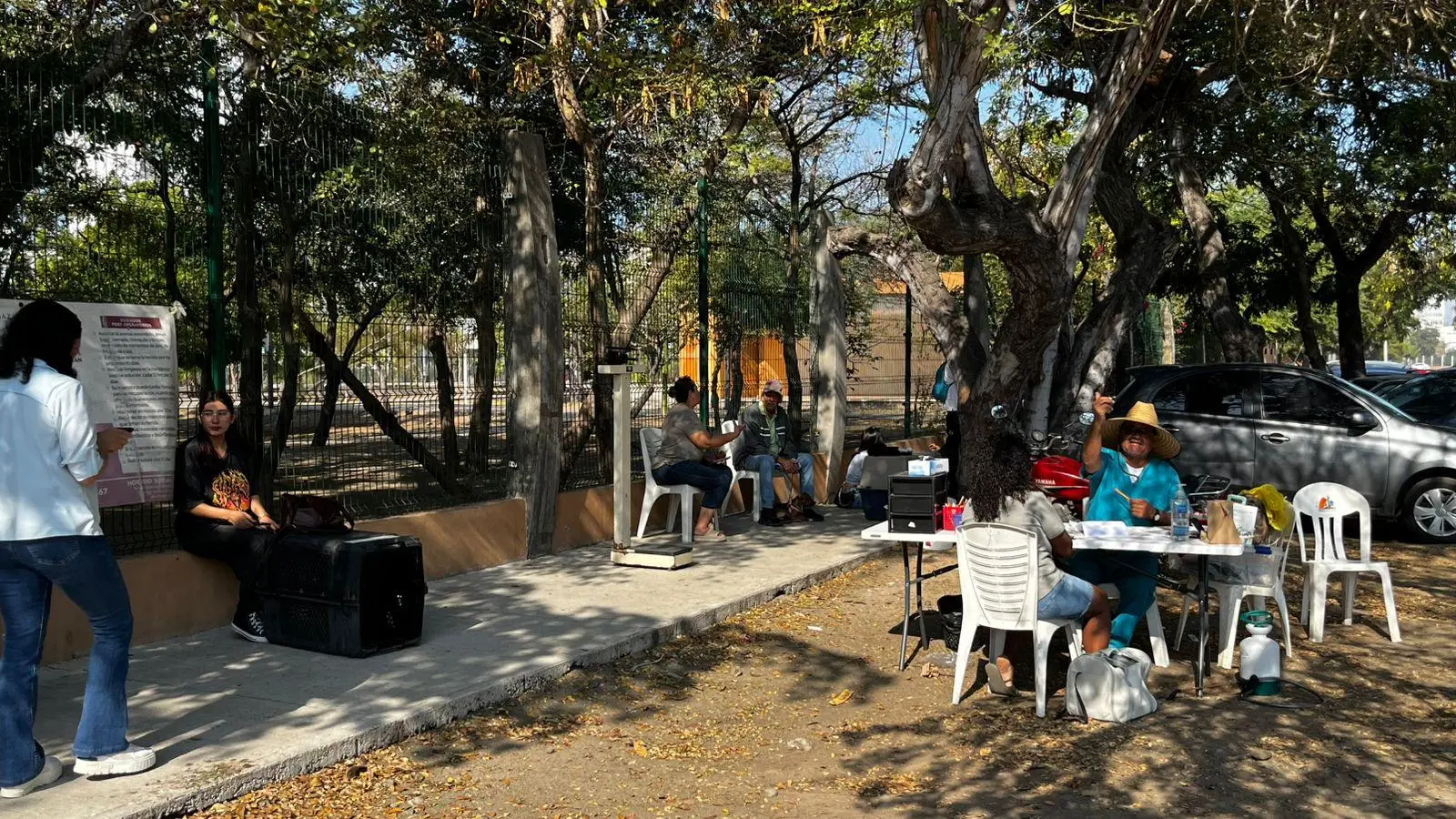 $!‘Huellitas del Bienestar’ promueve adopción de dos perritos y más de 20 esterilizaciones durante su jornada