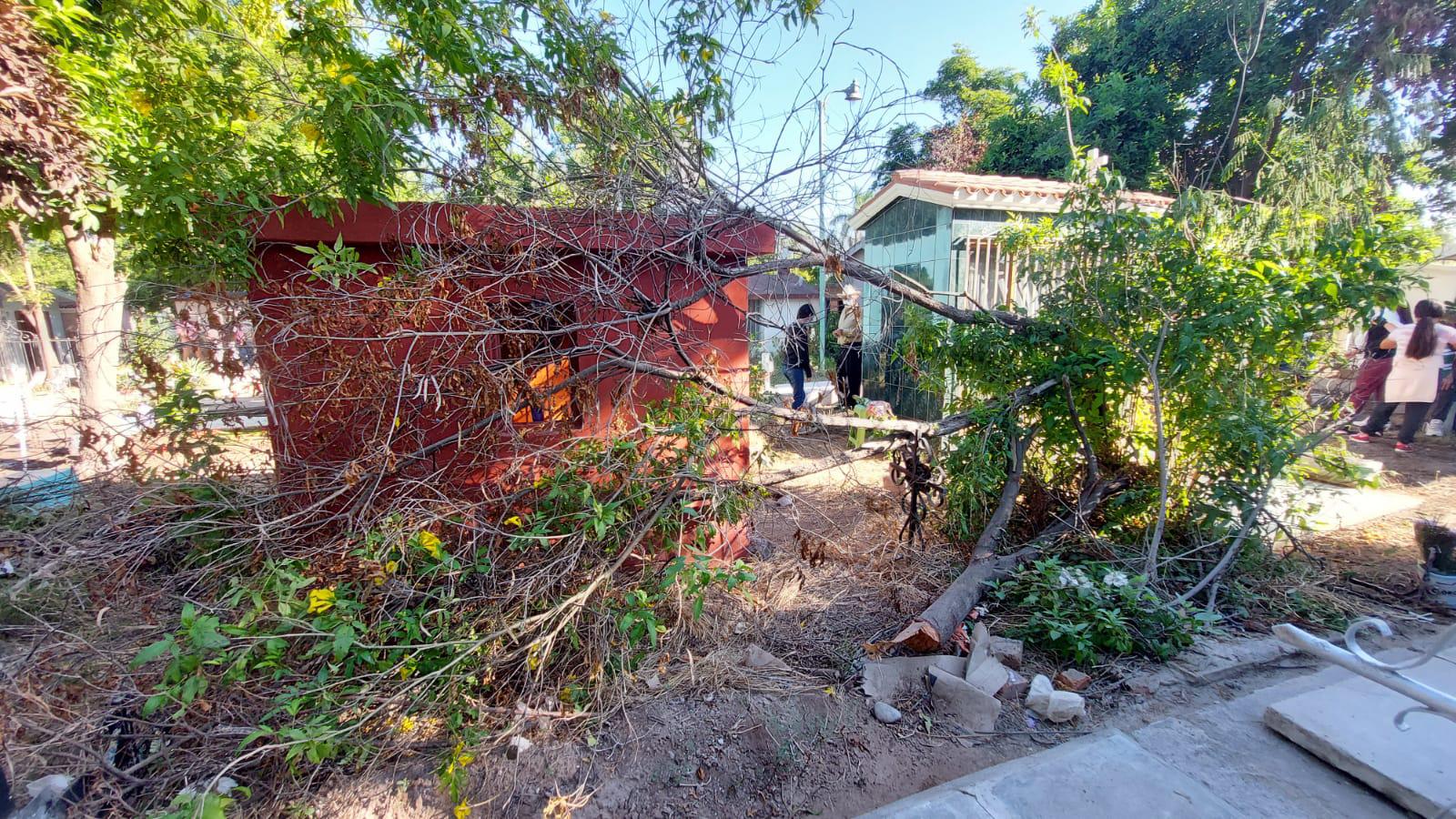 $!Visitan a sus muertos y encuentran un panteón sucio y descuidado en Guasave